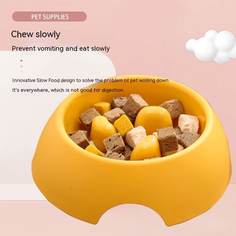 Bright & Fun Dog Slow Feeder for Healthy Eating