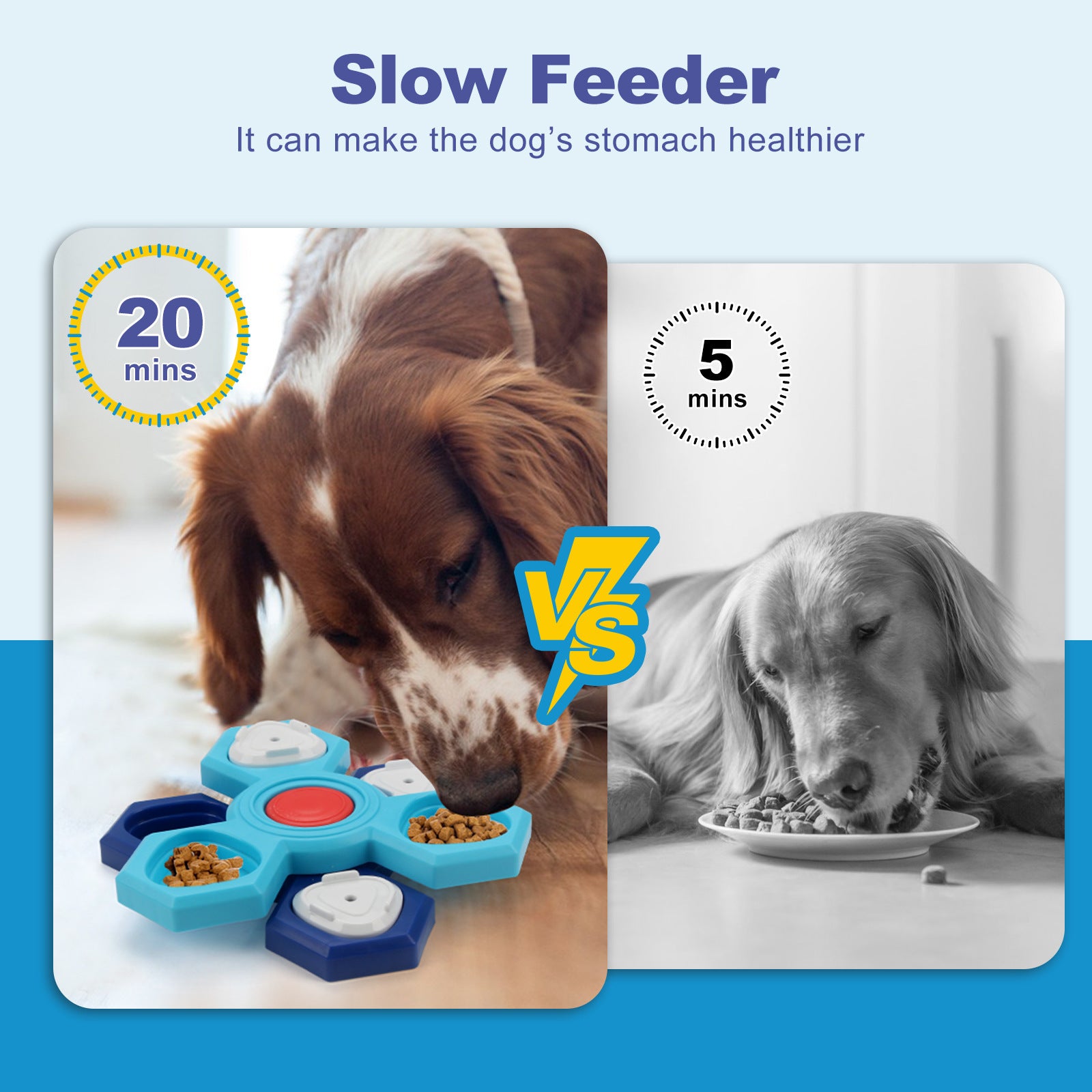 Fun 4-Layer Puzzle Bowl for Happy, Healthy Dogs