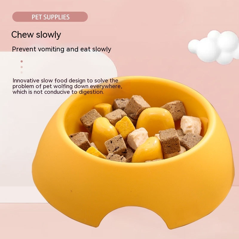 Bright & Fun Dog Slow Feeder for Healthy Eating
