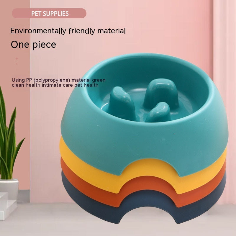 Bright & Fun Dog Slow Feeder for Healthy Eating