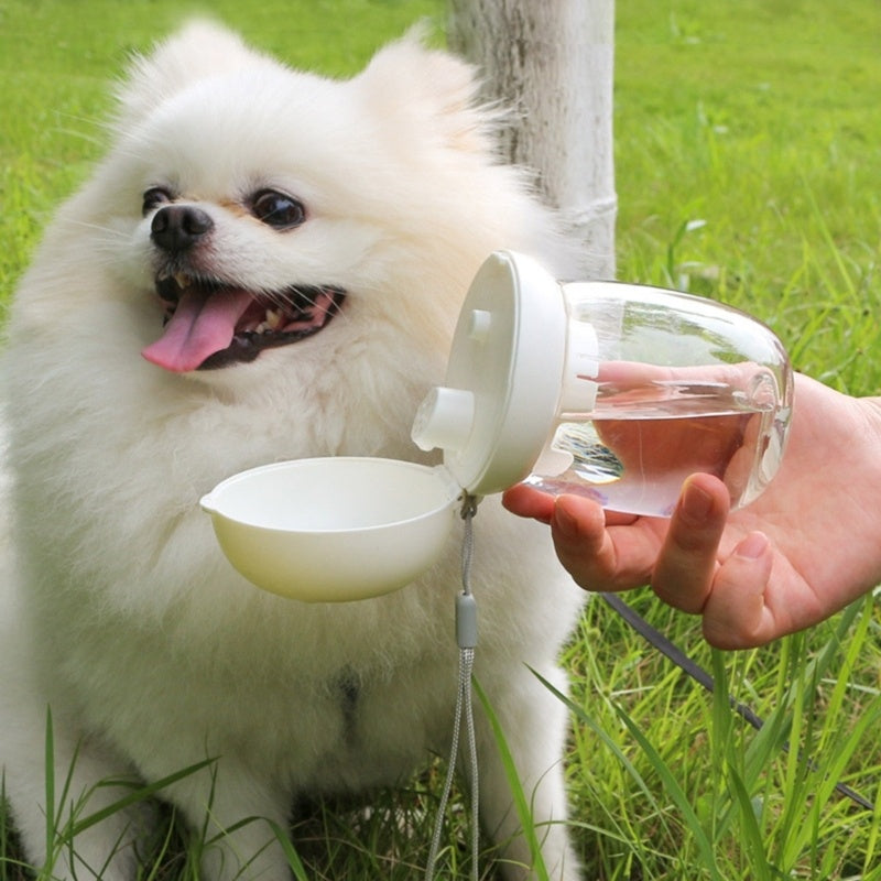 Leak-Proof Travel Water Bottle for Happy, Thirst-Free Dogs!