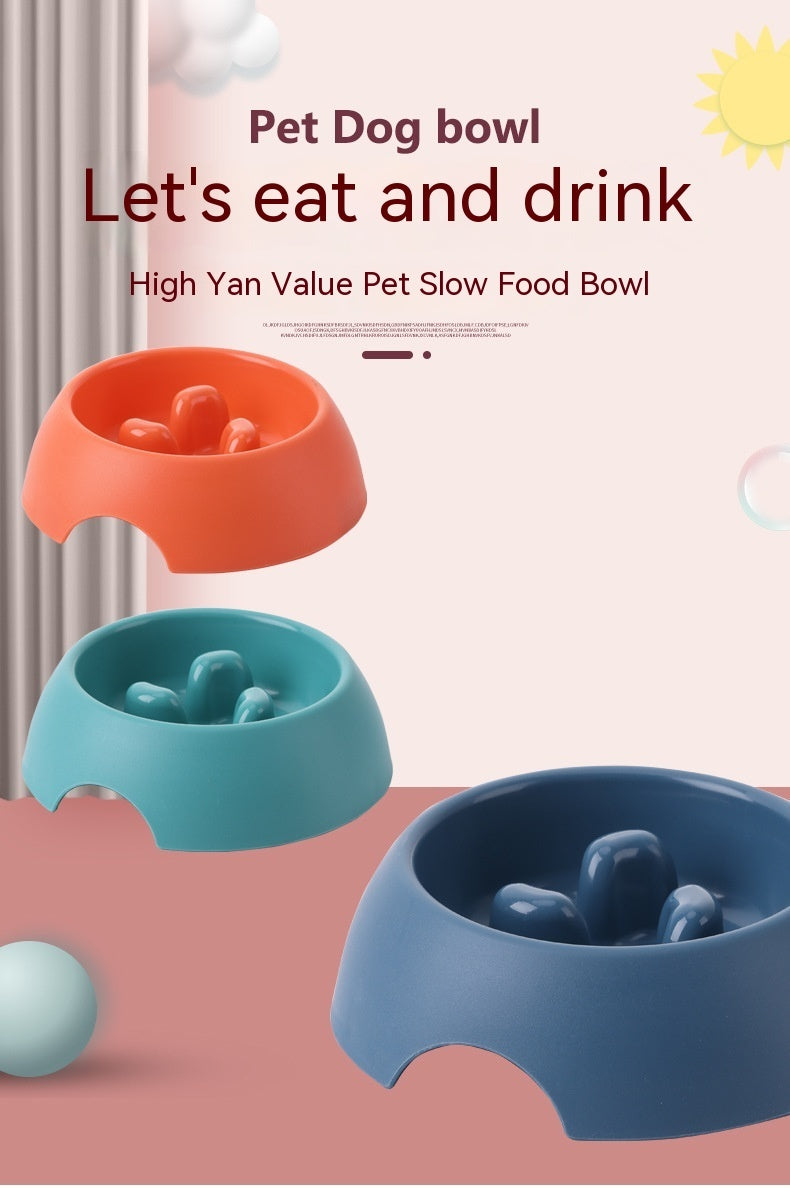Bright & Fun Dog Slow Feeder for Healthy Eating